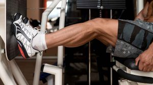 leg press workout